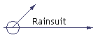 Rainsuit